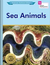 Sea Animals