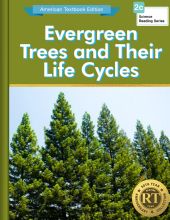 Evergreen Trees and Their Life Cycles