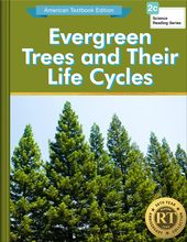 Evergreen Trees and Their Life Cycles