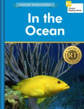 In the Ocean