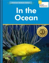 In the Ocean
