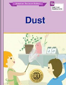 Dust
