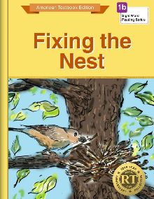 Fixing the Nest