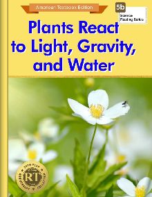 How Plants Reproduce