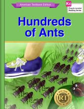 Hundreds of Ants