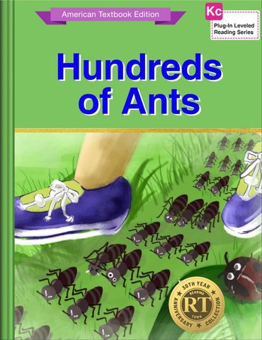 Hundreds of Ants