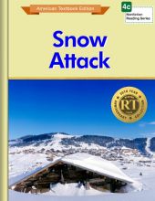 Snow Attack
