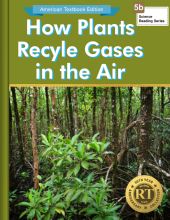 How Plants Recycle Gases in the Air