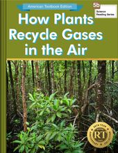 How Plants Recycle Gases in the Air