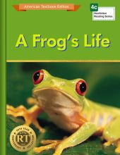 A Frog`s Life