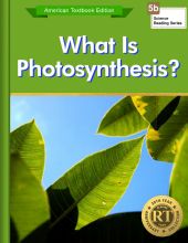 What Is Photosynthesis?