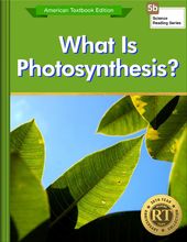 What Is Photosynthesis?