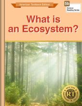 What Is an Ecosystem?