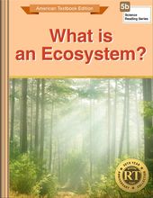 What is an Ecosystem?