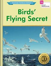 Birds` Flying Secret