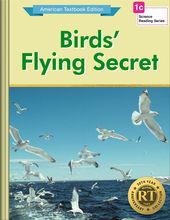 Birds’ Flying Secret