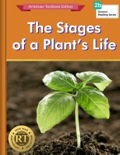 The Stages of a Plant`s Life