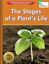 The Stages of a Plant’s Life