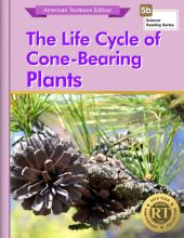 The Life Cycle of a Cone-Bearing Plant