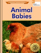 Animal Babies