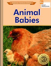Animal Babies