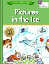 Pictures in the Ice