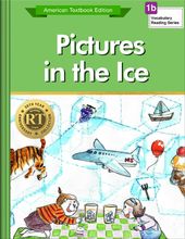 Pictures in the Ice