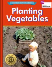 Planting Vegetables