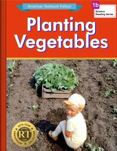 Planting Vegetables