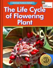 The Life Cycle of a Flowering Plant