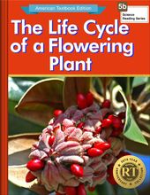 The Life Cycle of a Flowering Plant