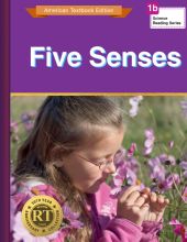 Five Senses