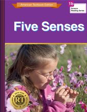 Five Senses