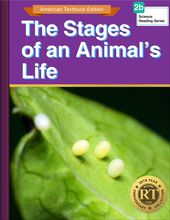 The Stages of an Animal’s Life