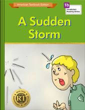 A Sudden Storm
