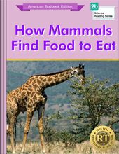 How Mammals Find Food to Eat