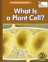 What Is a Plant Cell?