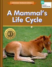 A Mammal`s Life Cycle