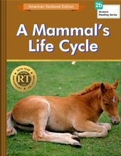 A Mammal’s Life Cycle