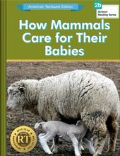How Mammals Care for Their Babies
