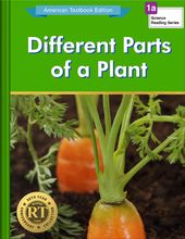 Different Parts of a Plant