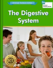 The Digestive System