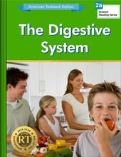 The Digestive System