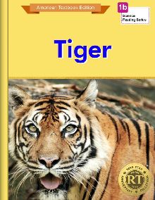 Tigers