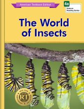 The World of Insects