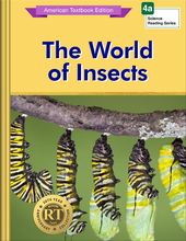 The World of Insects