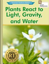 Plants React to Light, Gravity, and Water