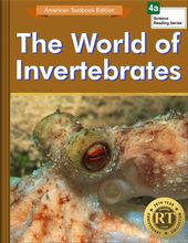The World of Invertebrates