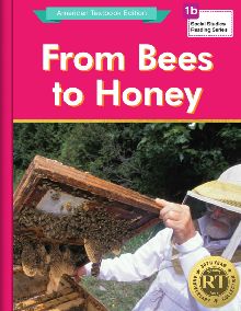From Bees to Honey