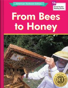From Bees to Honey